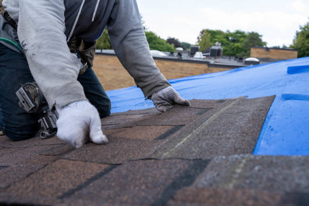 Best Residential Roofing Contractor  in Ramsey, MN